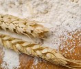 /album/photo-gallery-homepage/wheat-flour-prices1-e1357722007906-jpg/